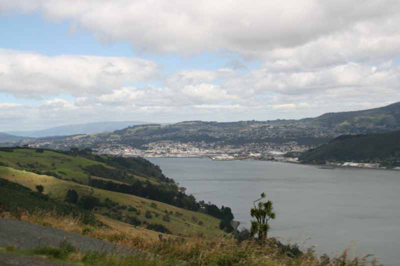 Nieuw-Zeeland 2011 - 1949